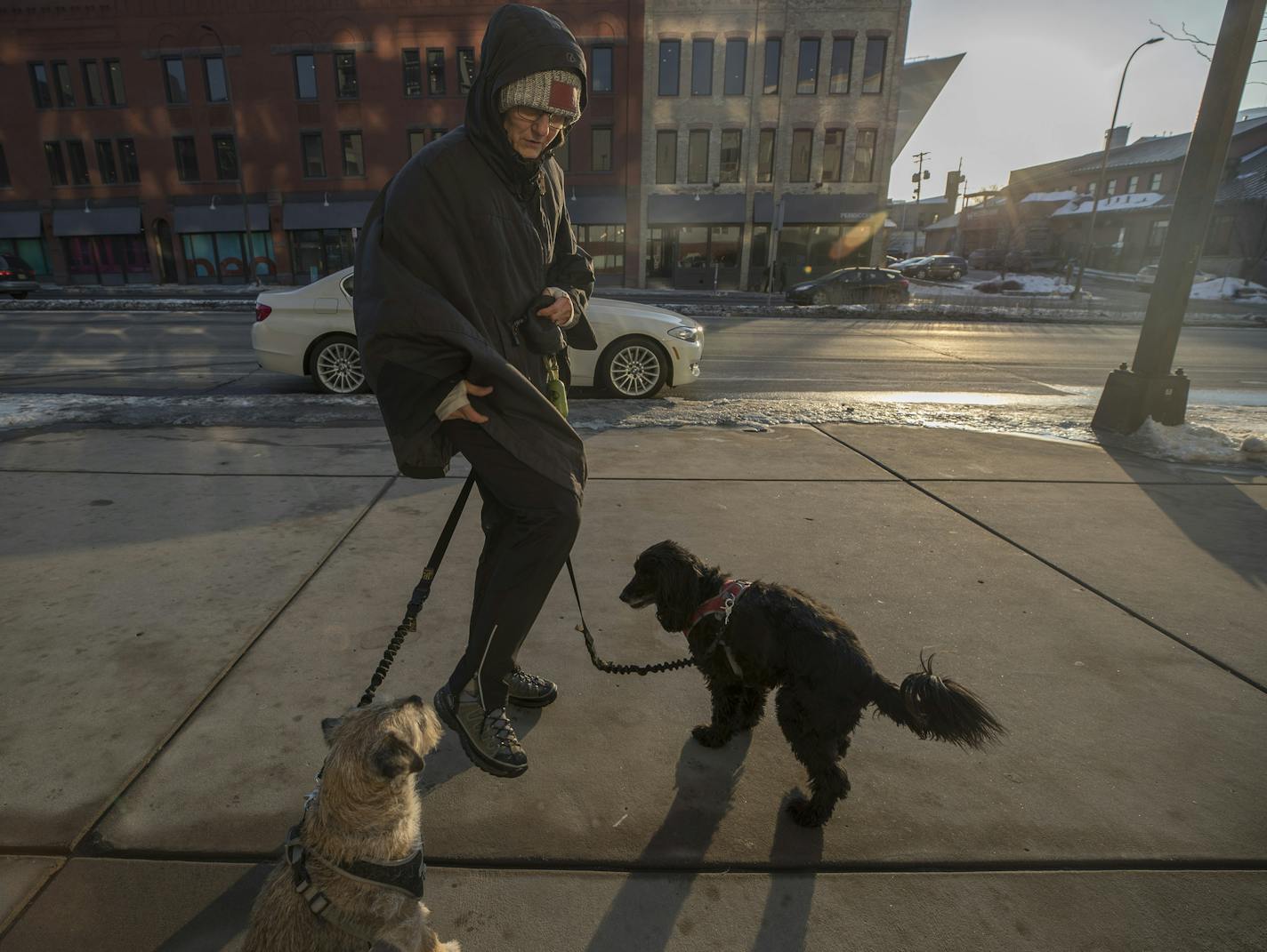 Nancy Solhaug walked her dogs Charlie, left, and Rocco near her condo at Washington and Park avenues on Tuesday in Minneapolis. Solhaug moved in there in 2013.