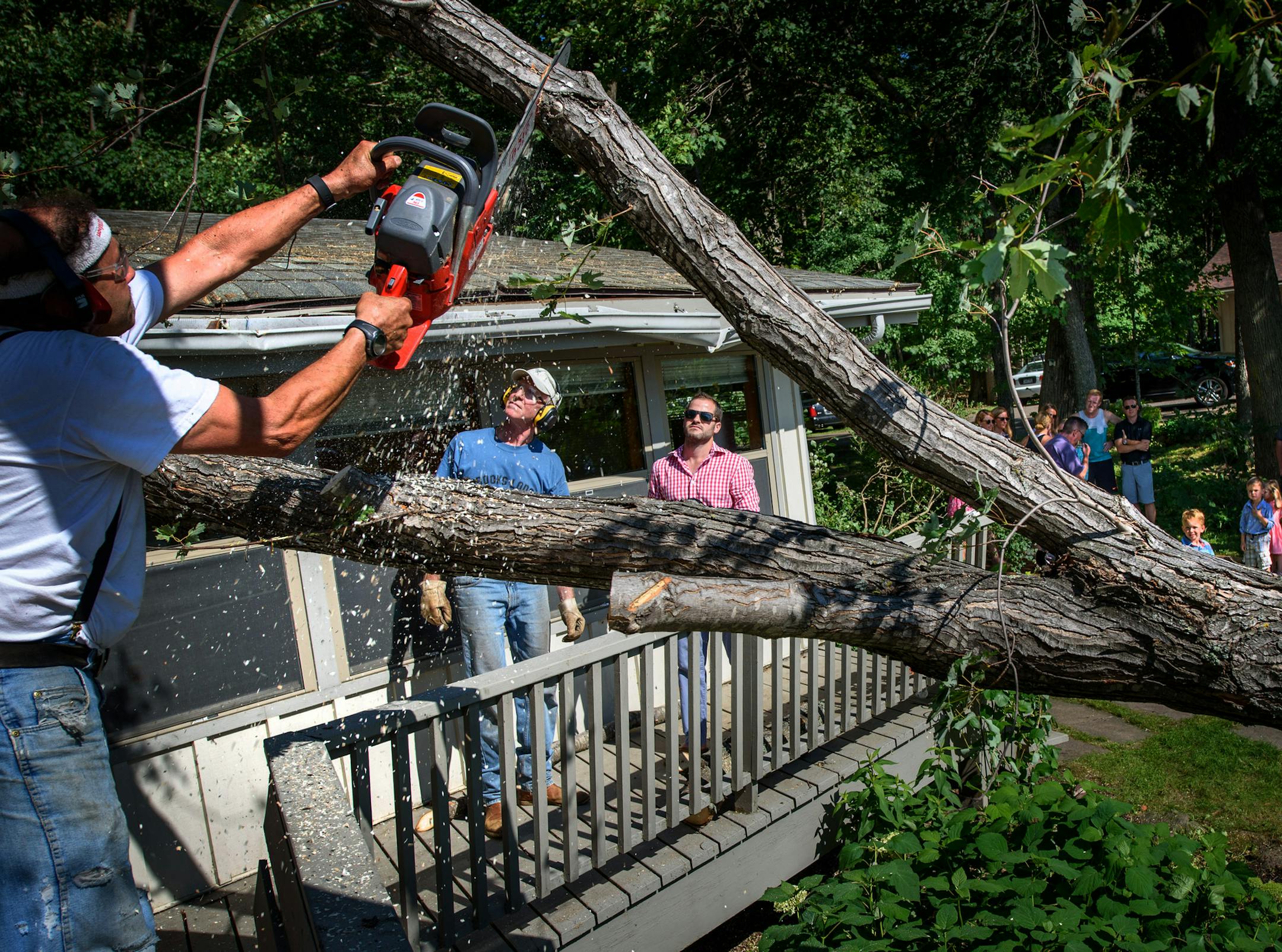 The tree removal service showed up minutes before Brianna Sucik and Kevin Relf's wedding rehearsal was to start in Nisswa, Minn.