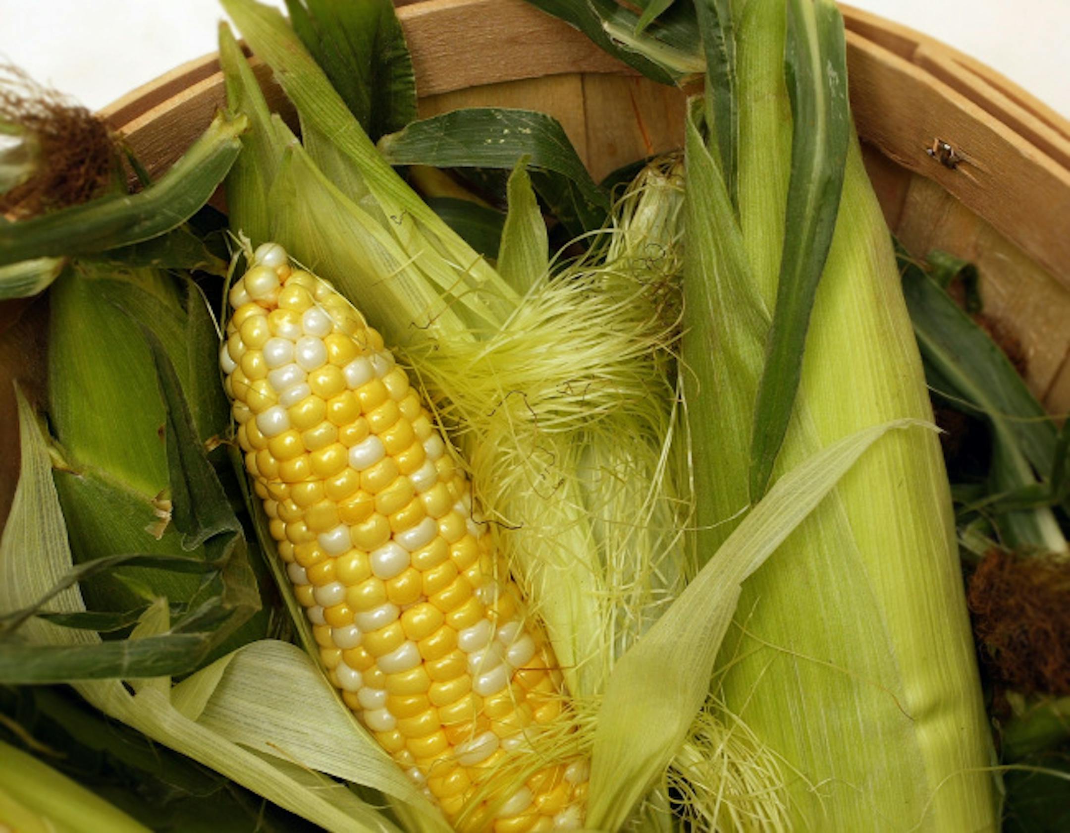 Corn