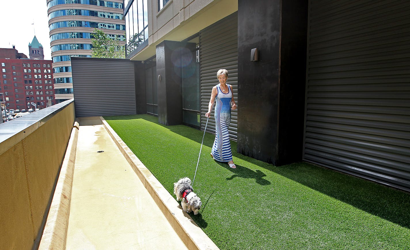 Kate Maher, walked her dog "Chewbacca" on the communal deck and dog run at her condo building, Wednesday, July 8, 2015 in downtown Minneapolis, MN. ] (ELIZABETH FLORES/STAR TRIBUNE) ELIZABETH FLORES &#x2022; eflores@startribune.com