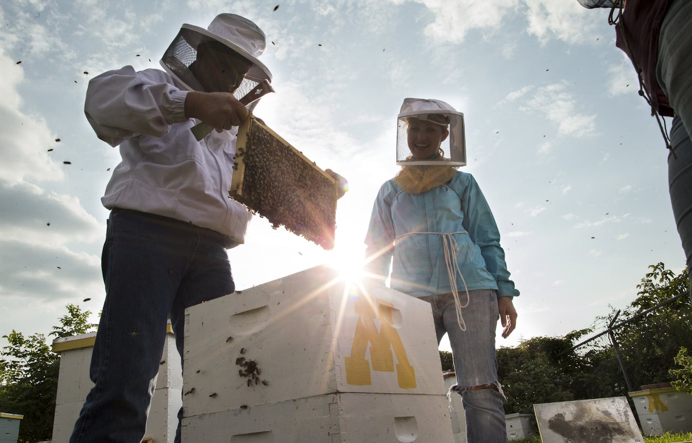 Farmer Keith Johnson took a bee keeping class with the University of Minnesota's Bee Squad in St. Paul, Minn. August 6, 2014. ] RENEE JONES SCHNEIDER &#x201a;&#xc4;&#xa2; reneejones@startribune.com