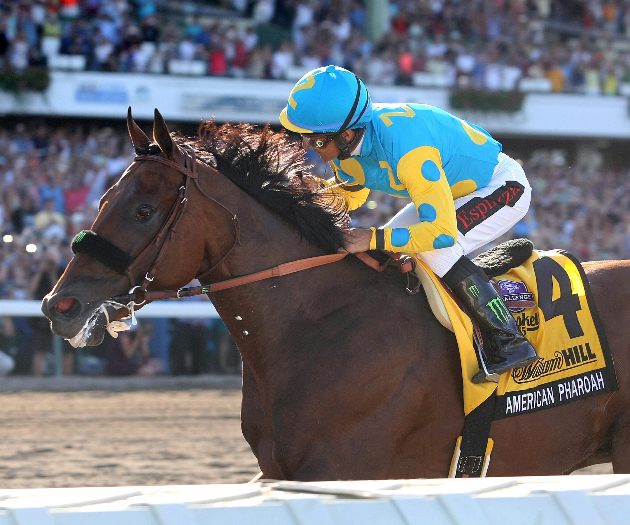 This photo provided by Equi-Photo, shows American Pharoah #4 with Victor Espinoza riding, winning the $1,750,000 Grade 1 William Hill Haskell Invitational at Monmouth Park in Oceanport, New Jersey on Sunday, Aug. 2, 2015. (Bill Denver/EQUI-PHOTO via AP)