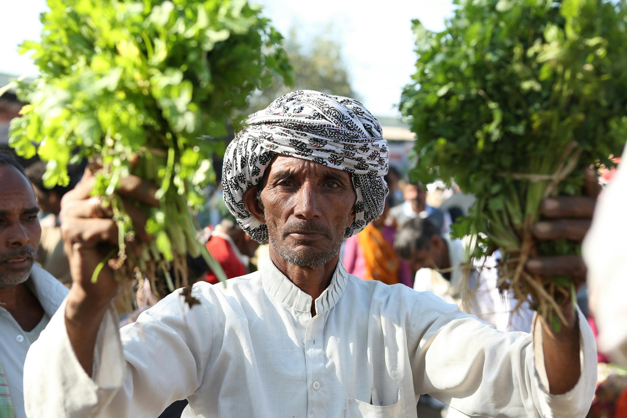 Mirra Fine, The Perennial Plate Cilantro merchant in Udaipur, India