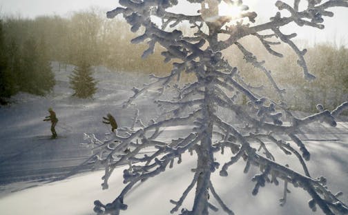 A tree is coated in freshly made snow as skiers goes by on a groomed trail Tuesday, Nov. 25, 2014, at Elm Creek Park Reserve in Maple Grove.