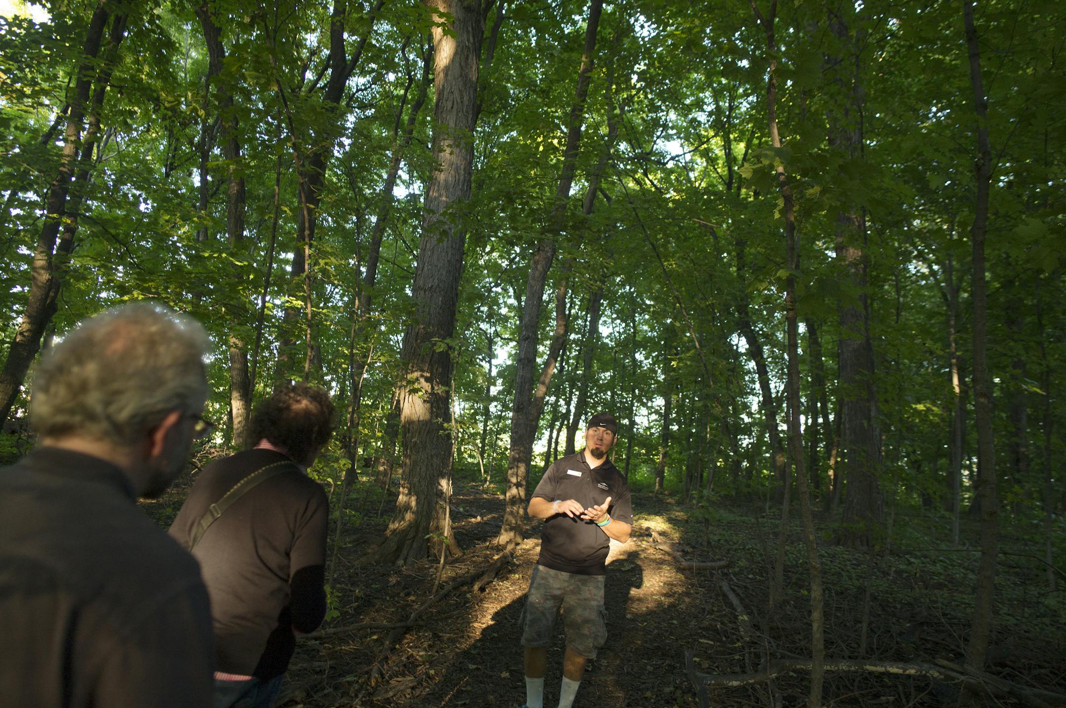 Brett Sieberer, a naturalist with the Three River Park system gave a tour of the Wayzata Big Woods which celebrated its 10th anniversary on Sept. 25. The public park is a rare urban remnant of the historic Big Woods that once covered Minnesota and the eastern United States, .]Richard Tsong-Taatarii/rtsong- taatarii@startribune.com