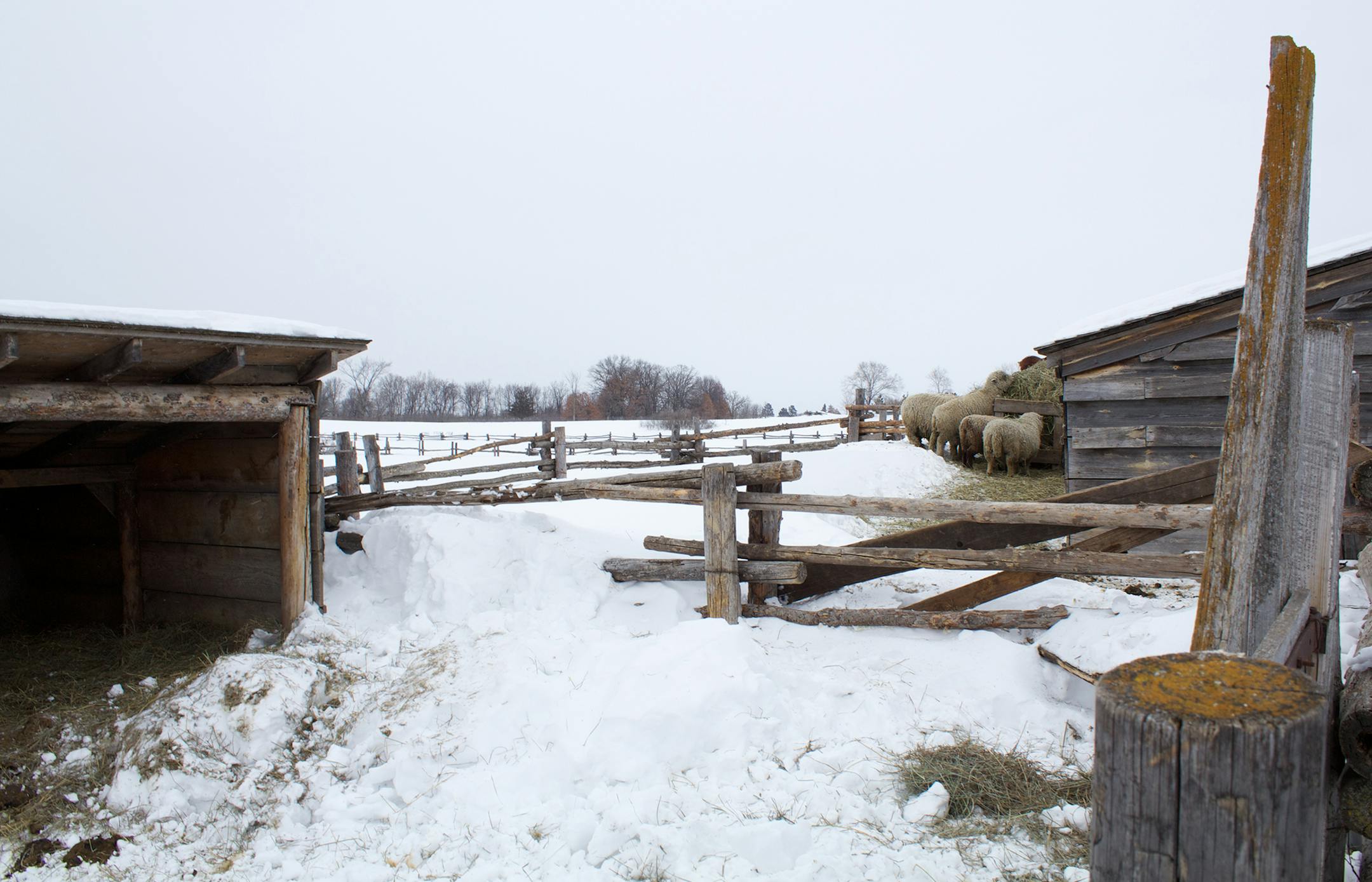 Oliver Kelley Farm Photo by Cody Nelson