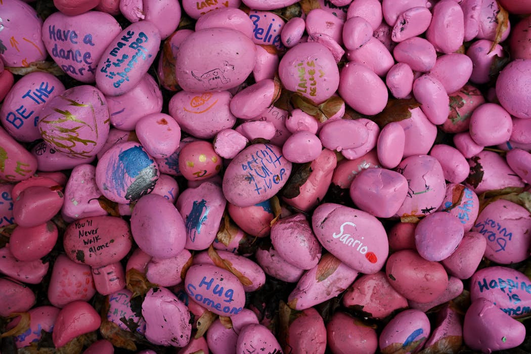 Pink stones in the Mekemsons' kindness rock garden. 