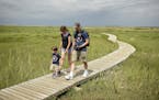 Laura and Jeff Wesley, of Franklin, Mass., walked with their 2&#xbd;-year-old son, Brendan, along the boardwalk trail at the Wellfleet Bay Wildlife Sa