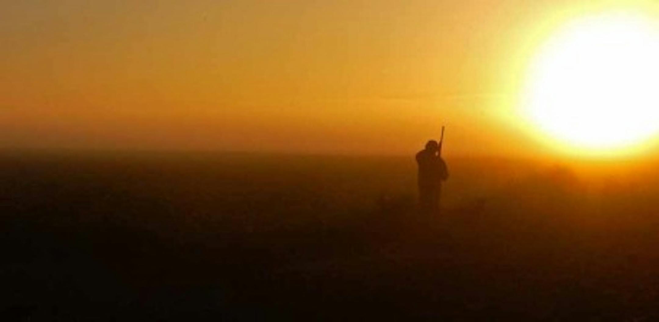 Fog blanketed a dove hunter on Wednesday morning.