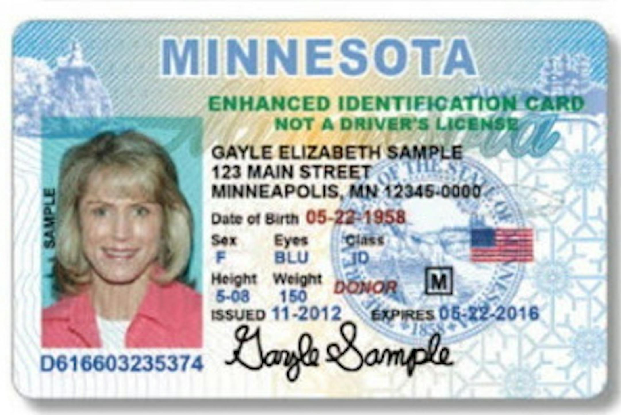 Minnesota sample identification card and drivers license. This is a sample provided by the Minnesota department of Public Safety