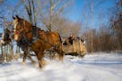 Horse-drawn wagon rides at Red Ridge Ranch are part of the fun during the Winter Wonderland Tour operated by Dells Trolley Tours in Wisconsin Dells.