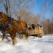 Horse-drawn wagon rides at Red Ridge Ranch are part of the fun during the Winter Wonderland Tour operated by Dells Trolley Tours in Wisconsin Dells.