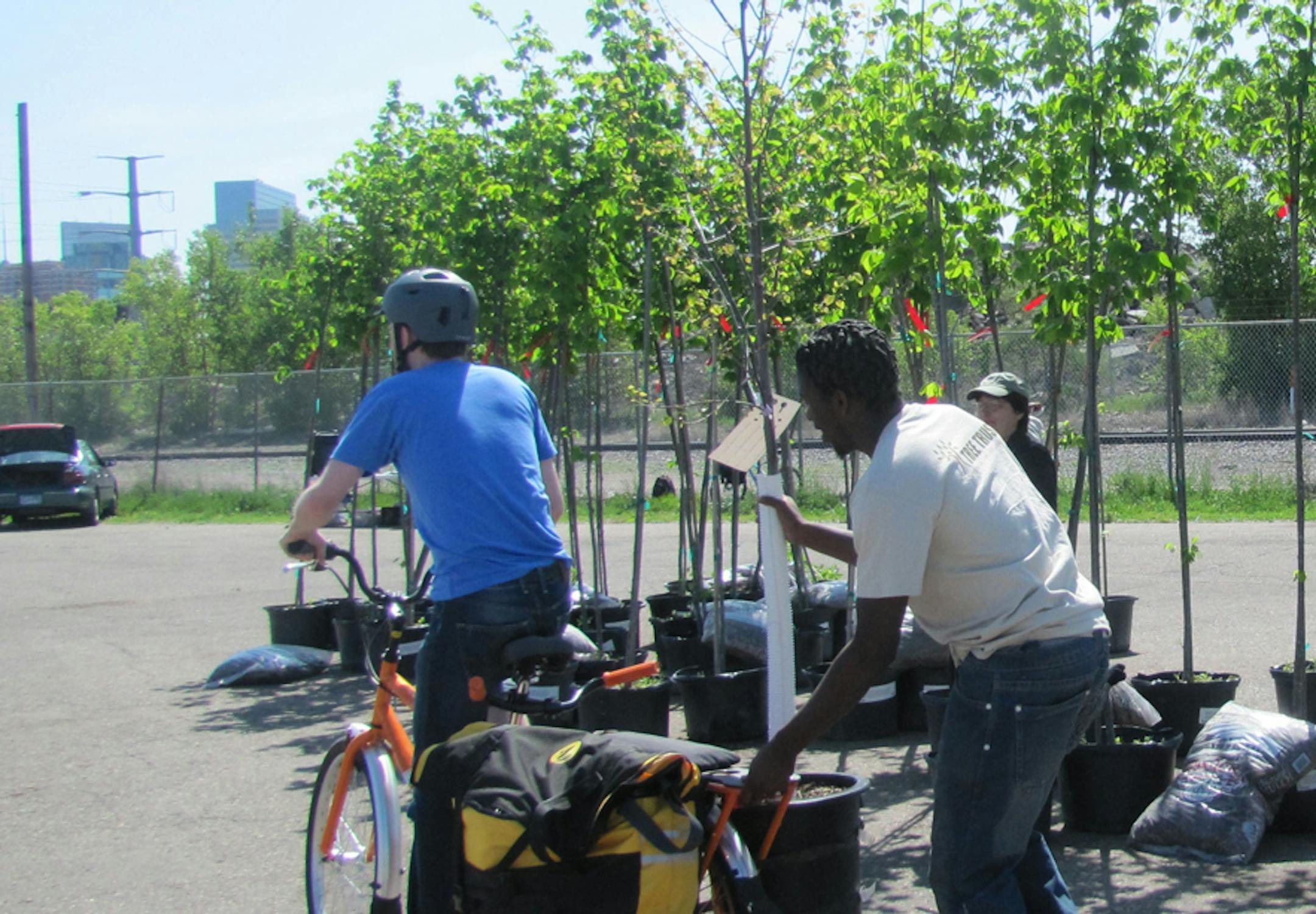 One customer took a tree home on his bike from a tree distribution site in St. Louis Park. This year the city is selling 350 trees for $35 each.