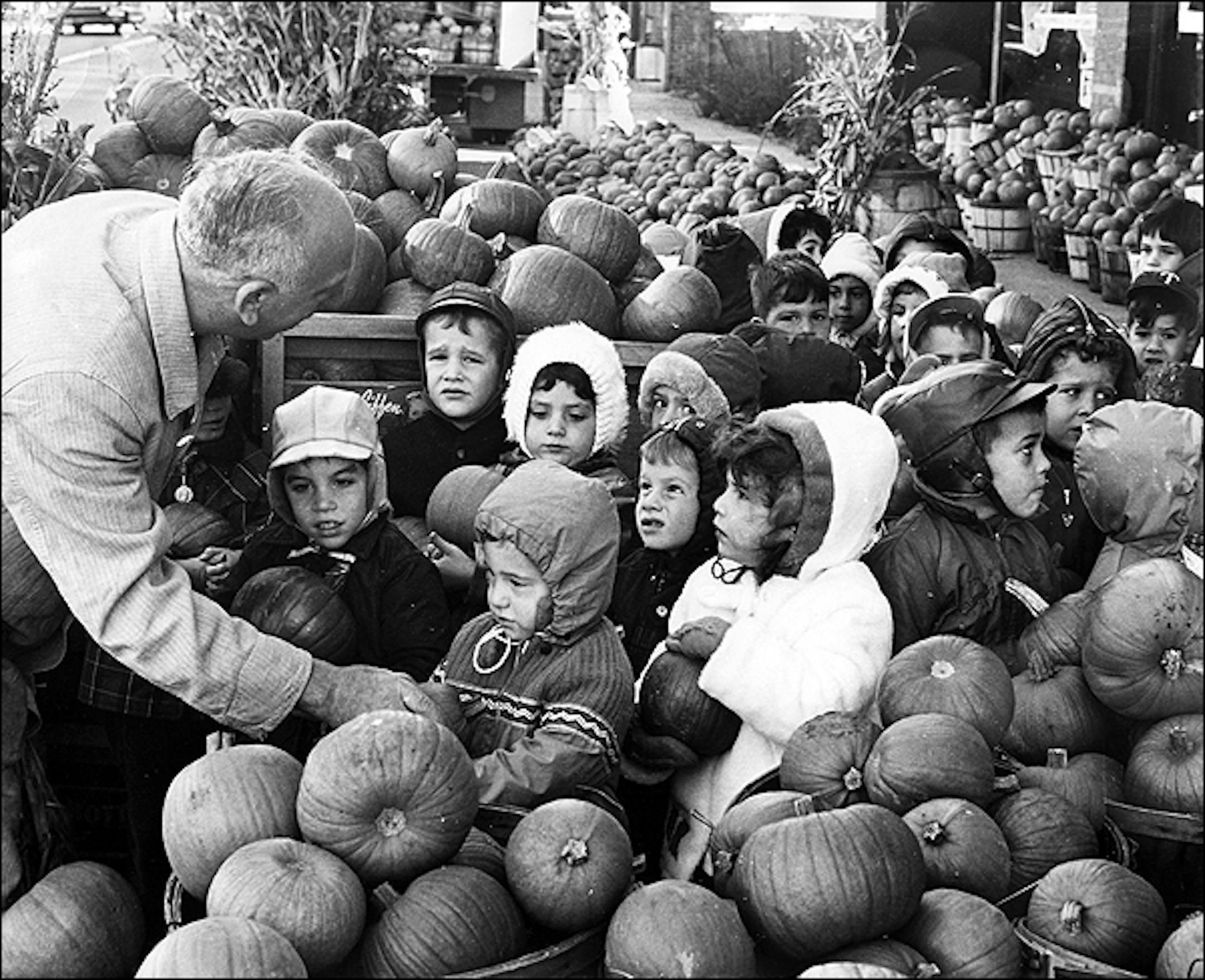 Greenstein's pumpkins,1962