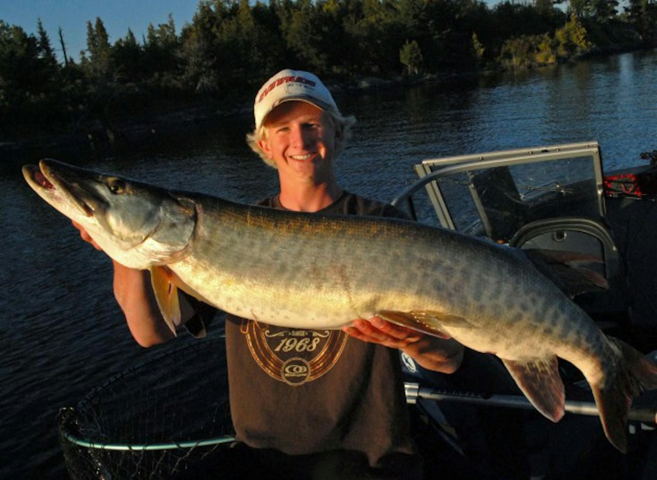 Big, bigger and biggest are sizes of muskies Lake of the Woods anglers can expect to see — assuming such a fish is hooked. Last week's cold fronts cooled muskie action on the big lake, though this 40-incher was fooled by Cole Anderson.