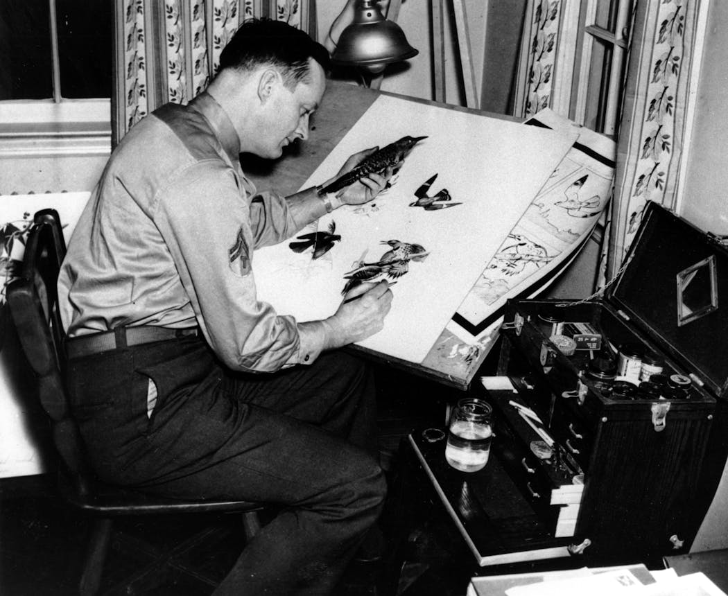 Roger Tory Peterson painted at night at Fort Belvoir, Va., where he was stationed during World War II. Peterson designed engineer equipment for the Army during the day.