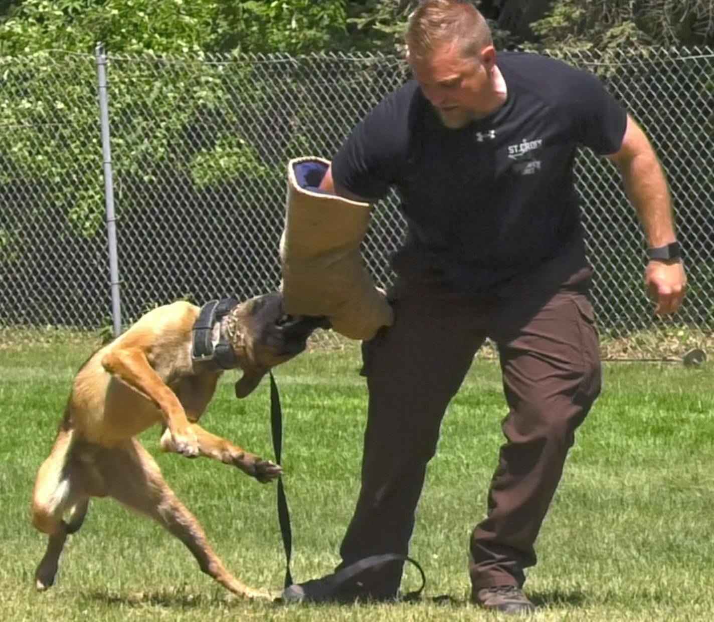 Seventeen police canines and their human partners graduated from St. Paul's K-9 training program. A program featuring obedience, agility and suspect apprehension was given in front of a crowd of dozens at the Timothy J. Jones Canine Training Facility in Maplewood on Thursday, May 24, 2018. ] Shari L. Gross &#x2022; shari.gross@startribune.com Seventeen police canines and their human partners graduated from St. Paul's K-9 training program. A program featuring obedience, agility and suspect appreh