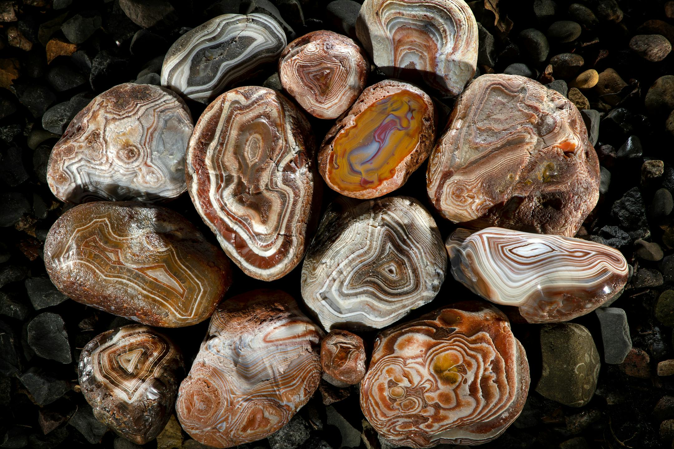 ] CARLOS GONZALEZ &#x2022; cgonzalez@startribune.com &#x2013; Chanhassen, MN &#x2013; April 23, 2019, Rocks, The Lake Superior Agates collection of Scott and Janet Wolter