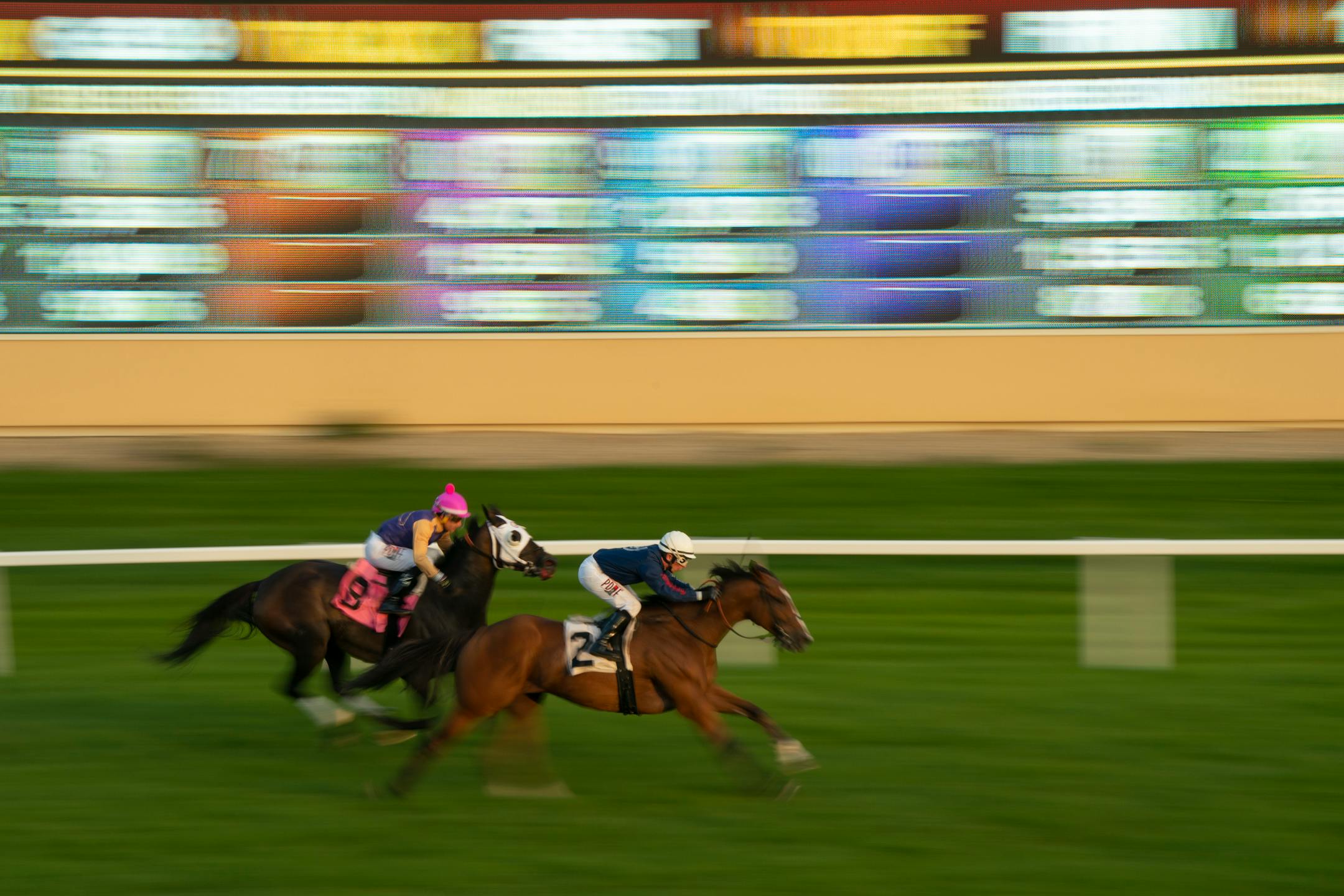 Dean Butler, atop Scattered Cash (2) edged out Francisco Arrieta riding Hamzing Vision (8) to win the sixth race Thursday night at Canterbury Park. ] JEFF WHEELER • jeff.wheeler@startribune.com The final day of the live horse racing season at Canterbury Park was Thursday night, September 17, 2020 in Shakopee,