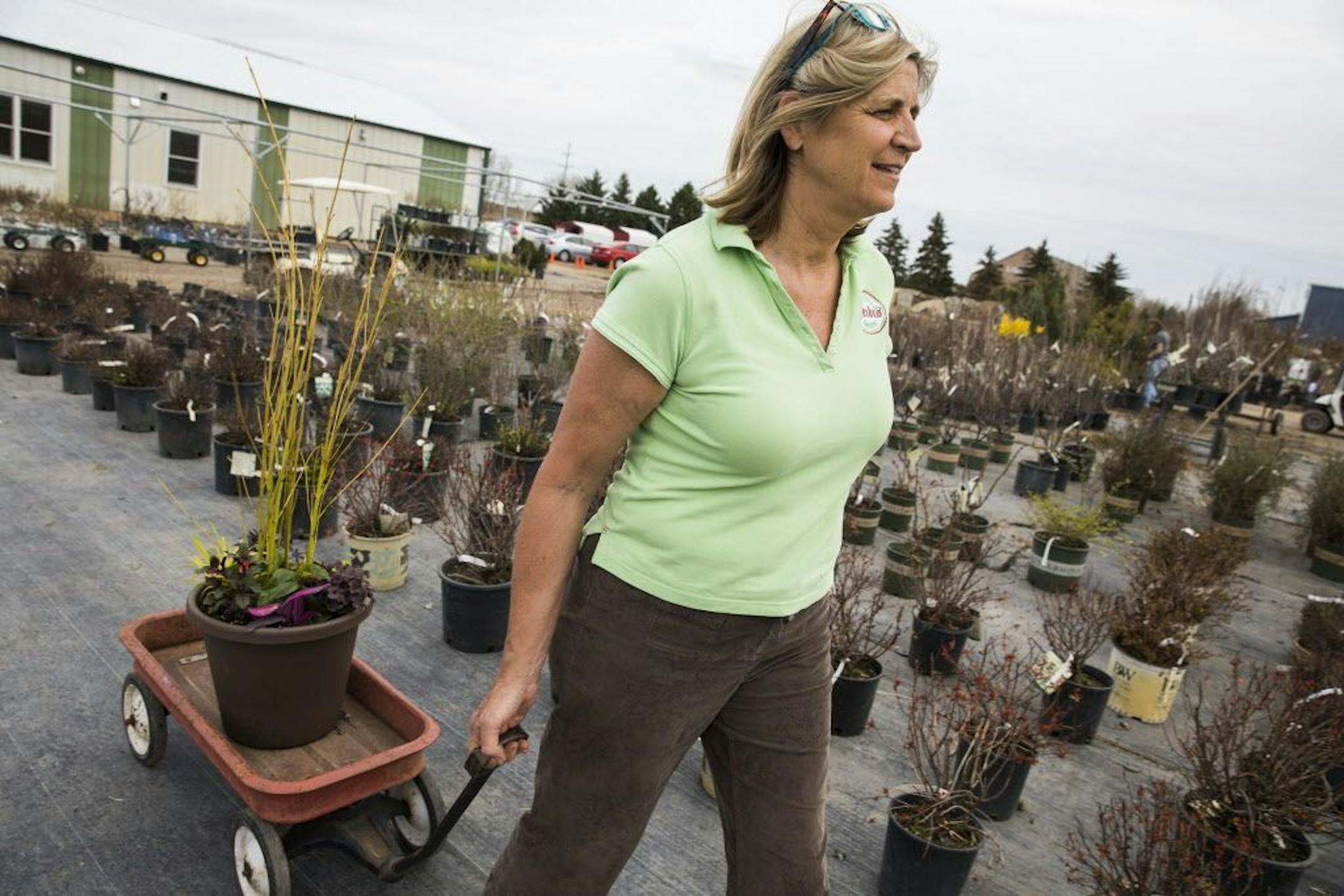 Sun and shade pots were designed by Heidi Heiland, owner of Heidi's GrowHaus in Corcoran.