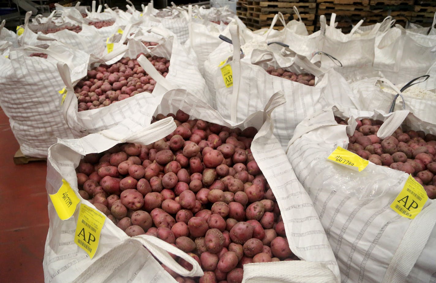 Michael Foods, the maker of Simply Potatoes, is the first company to partner with the Metropolitan Council in a loan program aimed at reducing industrial wastewater entering Council treatment plants. The money will pay for a water reuse system at the potato processing plant. Here, super sacks of red potatoes await processing Wednesday, Nov. 15, 2017, in Chaska, MN.] DAVID JOLES &#xef; david.joles@startribune.com The Met Council is hoping to cut down on the amount of dirty industrial wastewater i