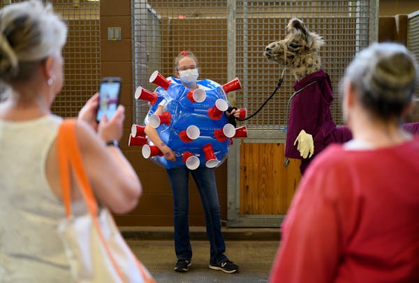 Arabelle Rohs of Sherburne County dressed as the COVID-19 virus as she stood with her llama, Sherlock, before the start of the 4-H Llama Costume Conte