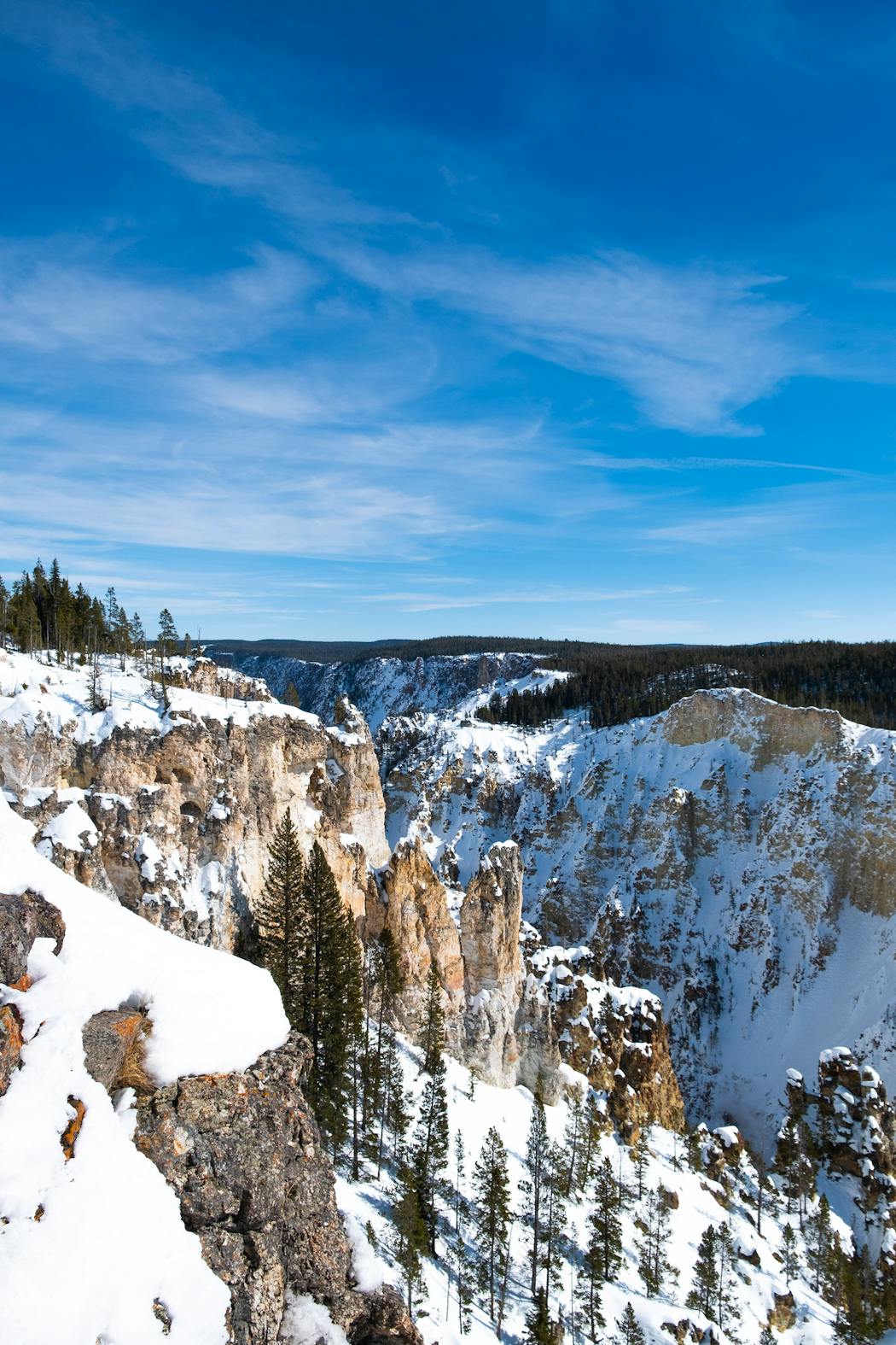 The Grand Canyon of Yellowstone. 