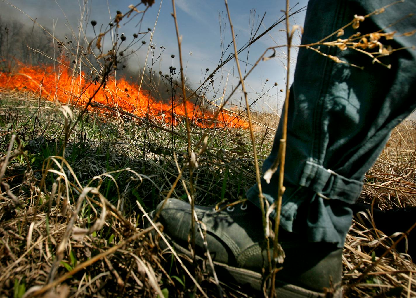 After lighting a backfire during a prescribed burn on a prairie on Shakopee land Victoria Ranua, an environmental assessment specialist for the Shakopee, keeps an eye on the flames.