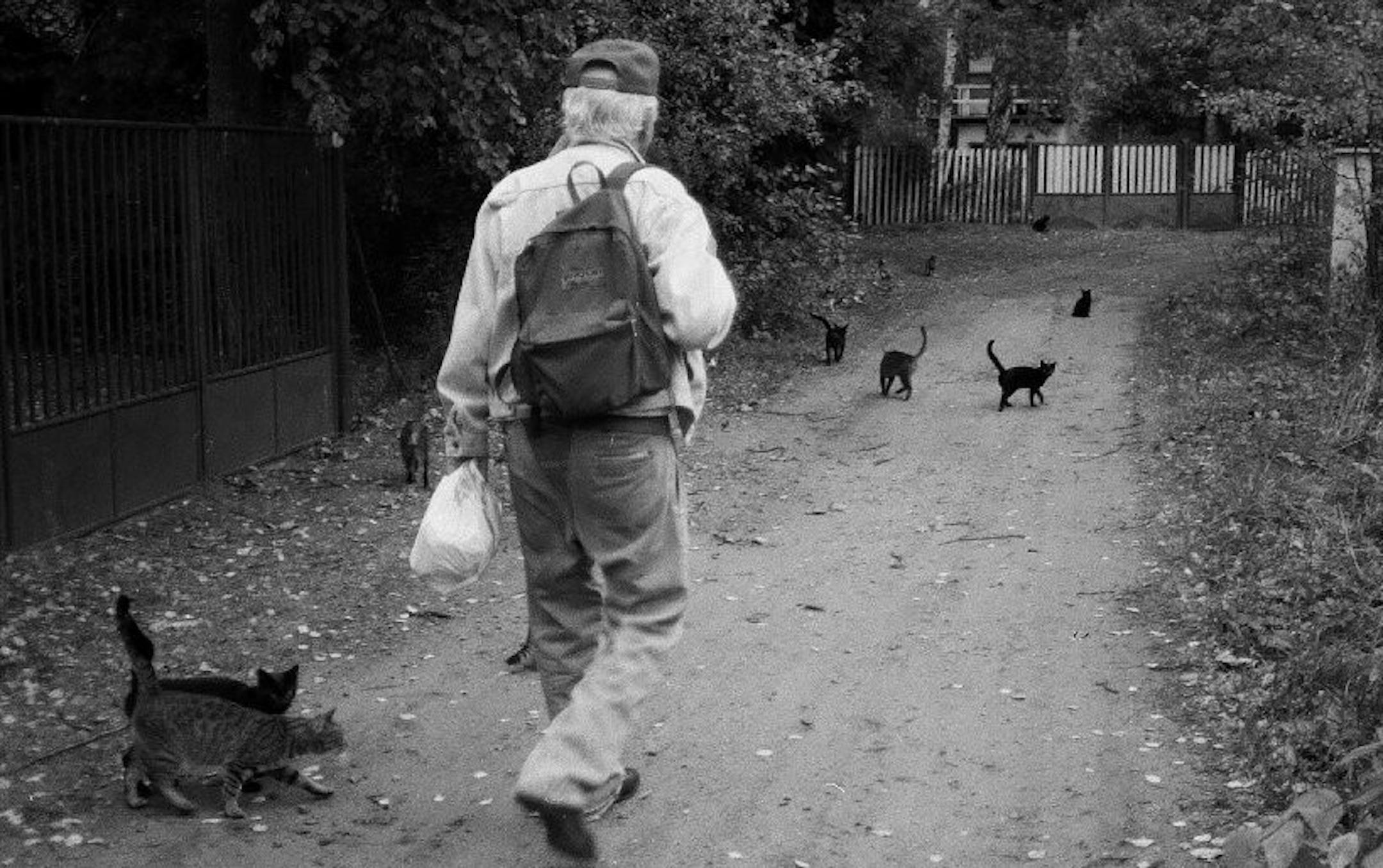 Bohumil Hrabal and his cats