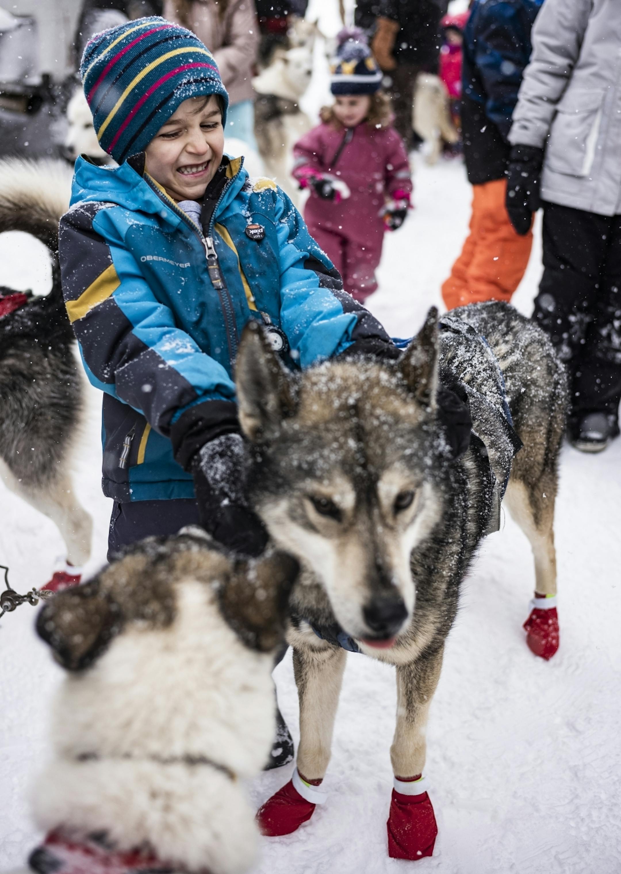 Enzo Compoli,5, of Deep Heaven got to know a sled dog before they hit the trail.