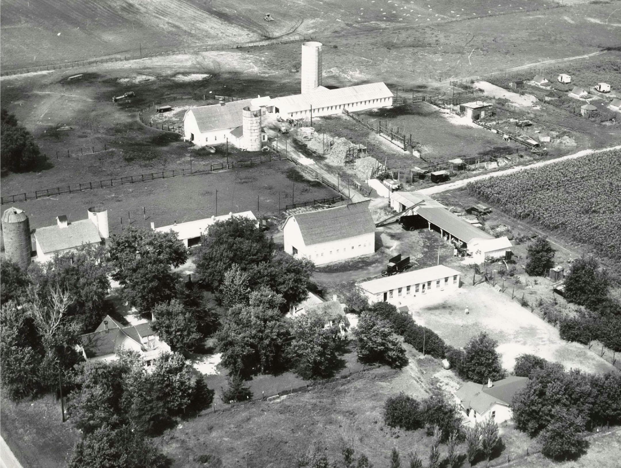 B.B. Nelson Farms in Blaine, taken in the late 1940s. The National Sports Center now stands on portions of the farm land. Anoka County Historical Society.