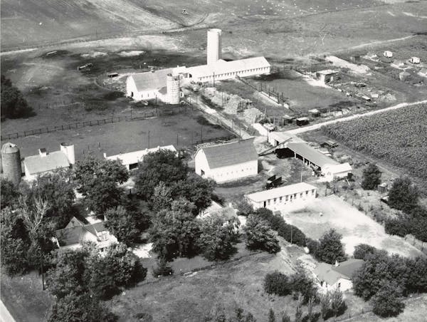 B.B. Nelson Farms in Blaine, taken in the late 1940s. The National Sports Center now stands on portions of the farm land. Anoka County Historical Soci