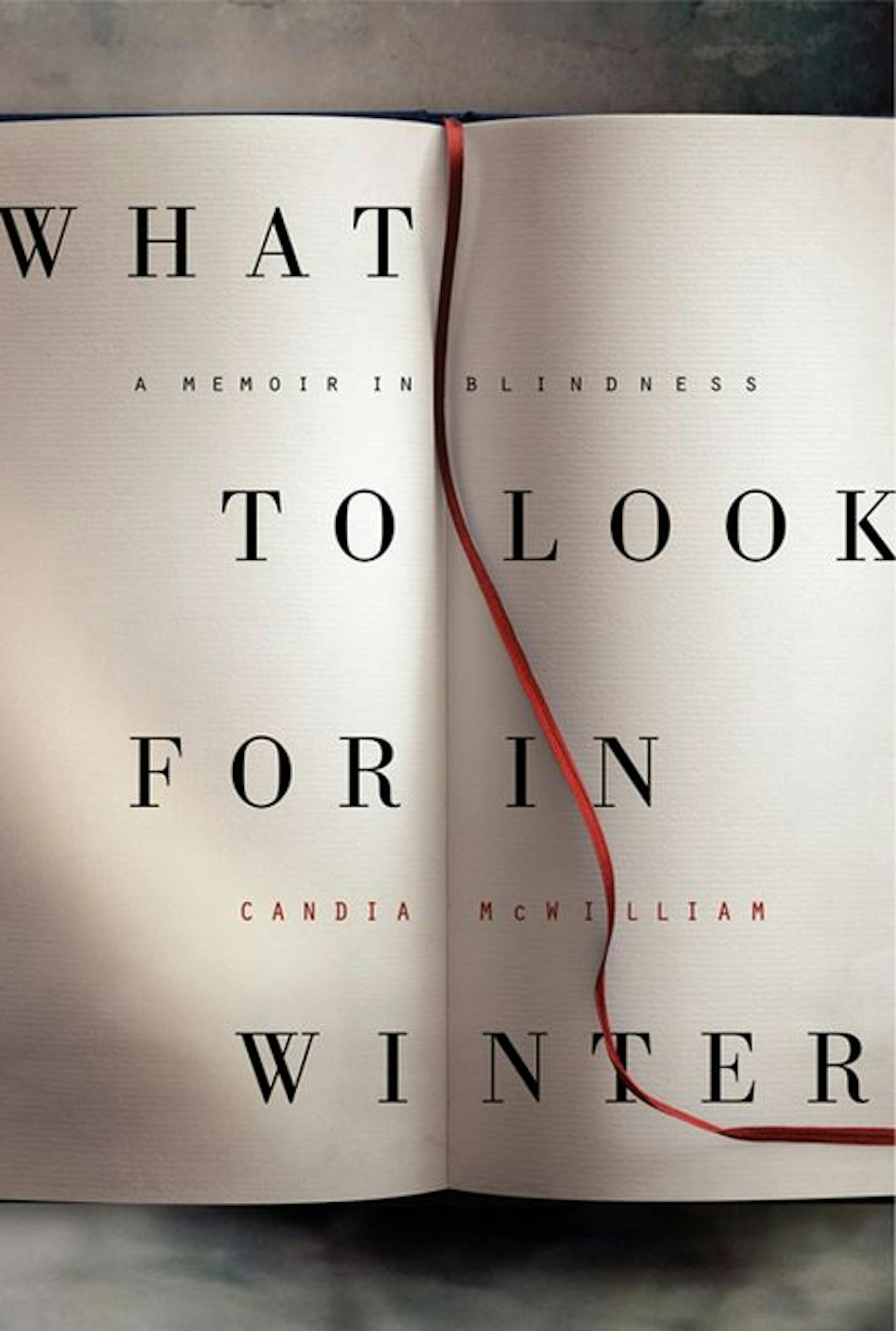 WHAT TO LOOK FOR IN WINTER by Candia McWilliam.