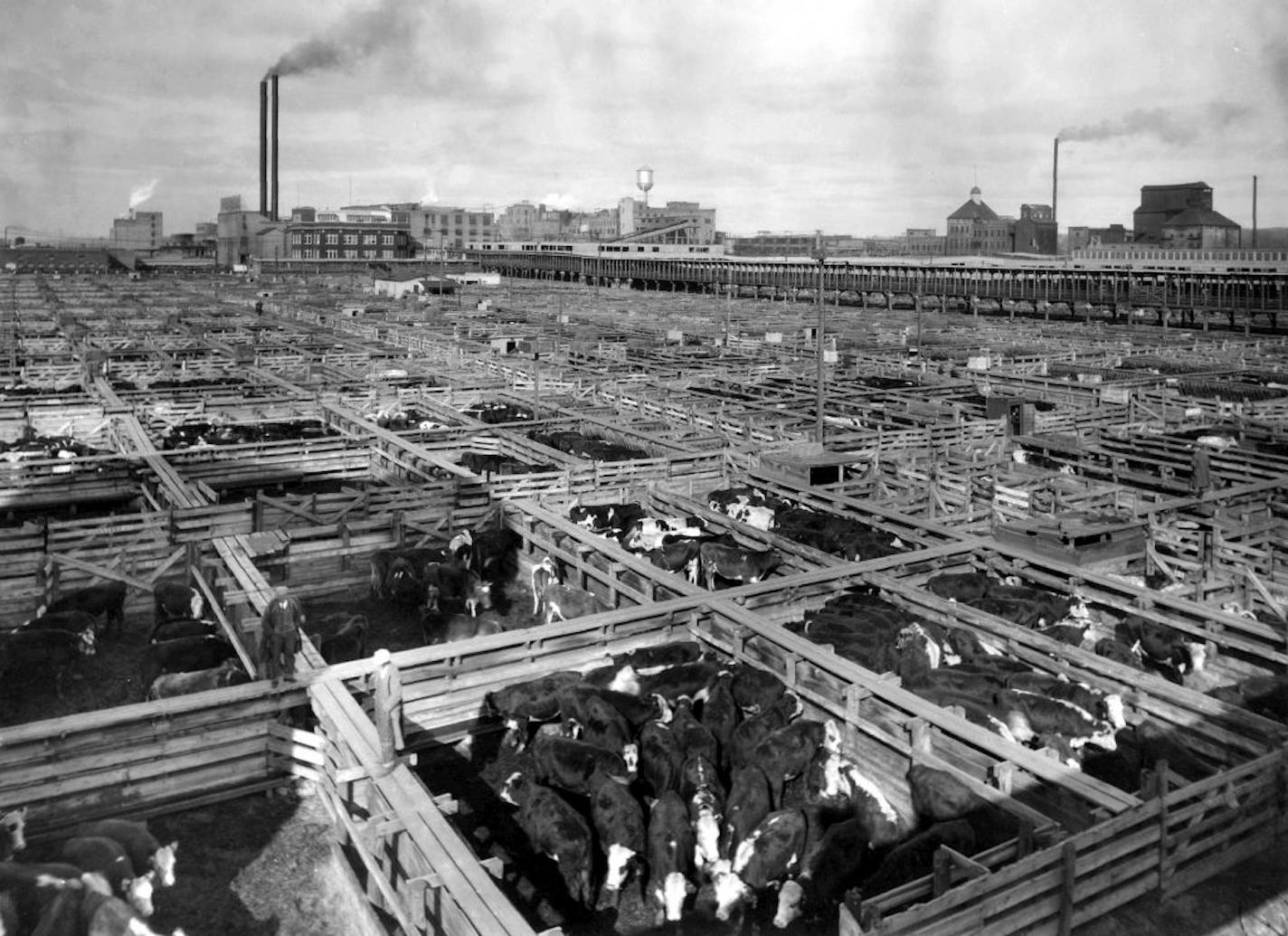 South St. Paul Stockyards