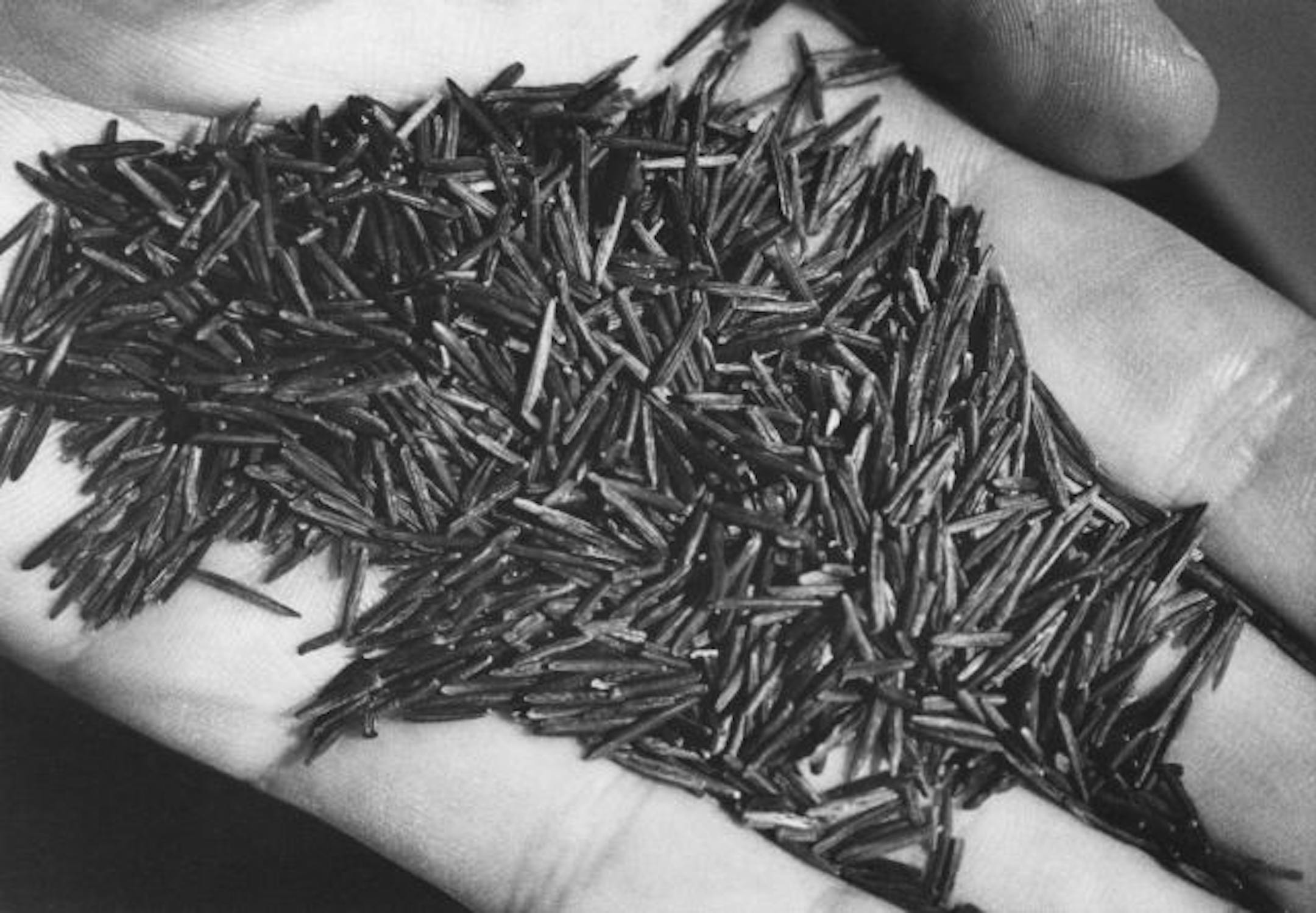 Minnesota-grown wild rice.