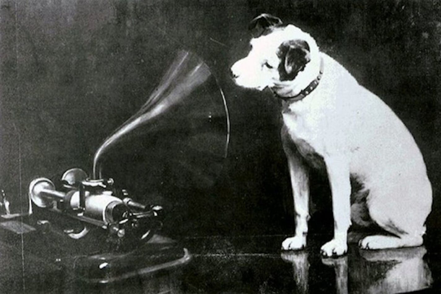 Francis Barraud (1856-1924), Dog looking at and listening to a phonograph. Francis Barraud's 1895 painting of Nipper looking into an Edison Bell cylinder phonograph. 1895. Transferred from en.wikipedia to Commons. Work is in the public domain in the US because author died in 1924.