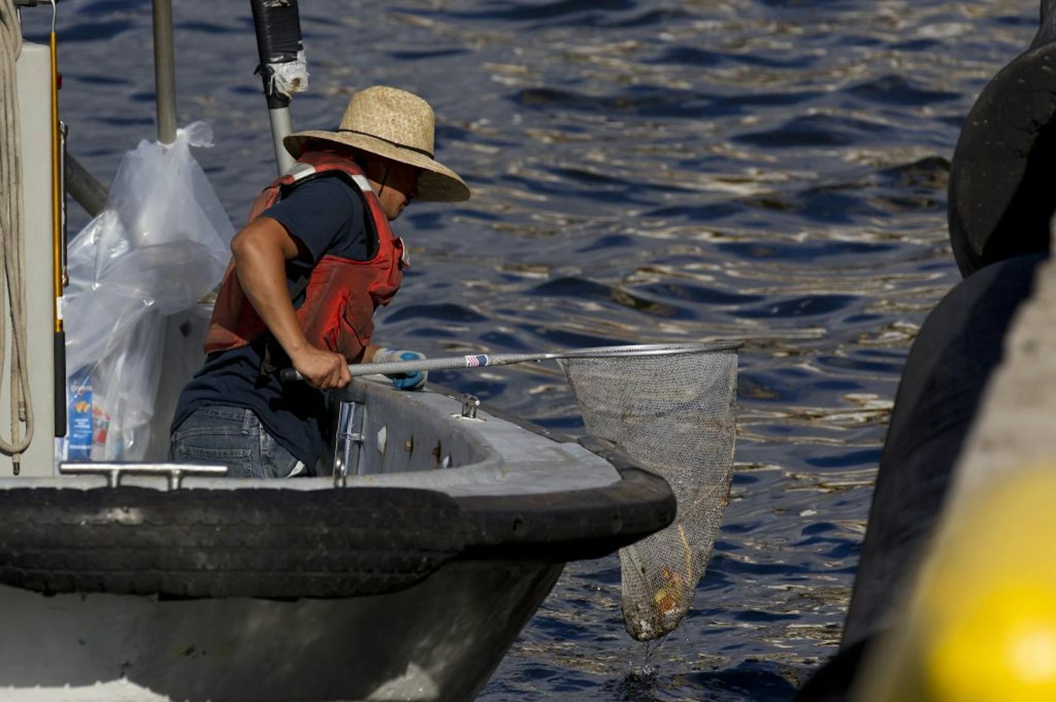 A worker from Pacific Environmental Corporation skims the water near the Matson shipyard in the Kapalama Basin in Honolulu, Hawaii on Wednesday Sept. 11, 2013.