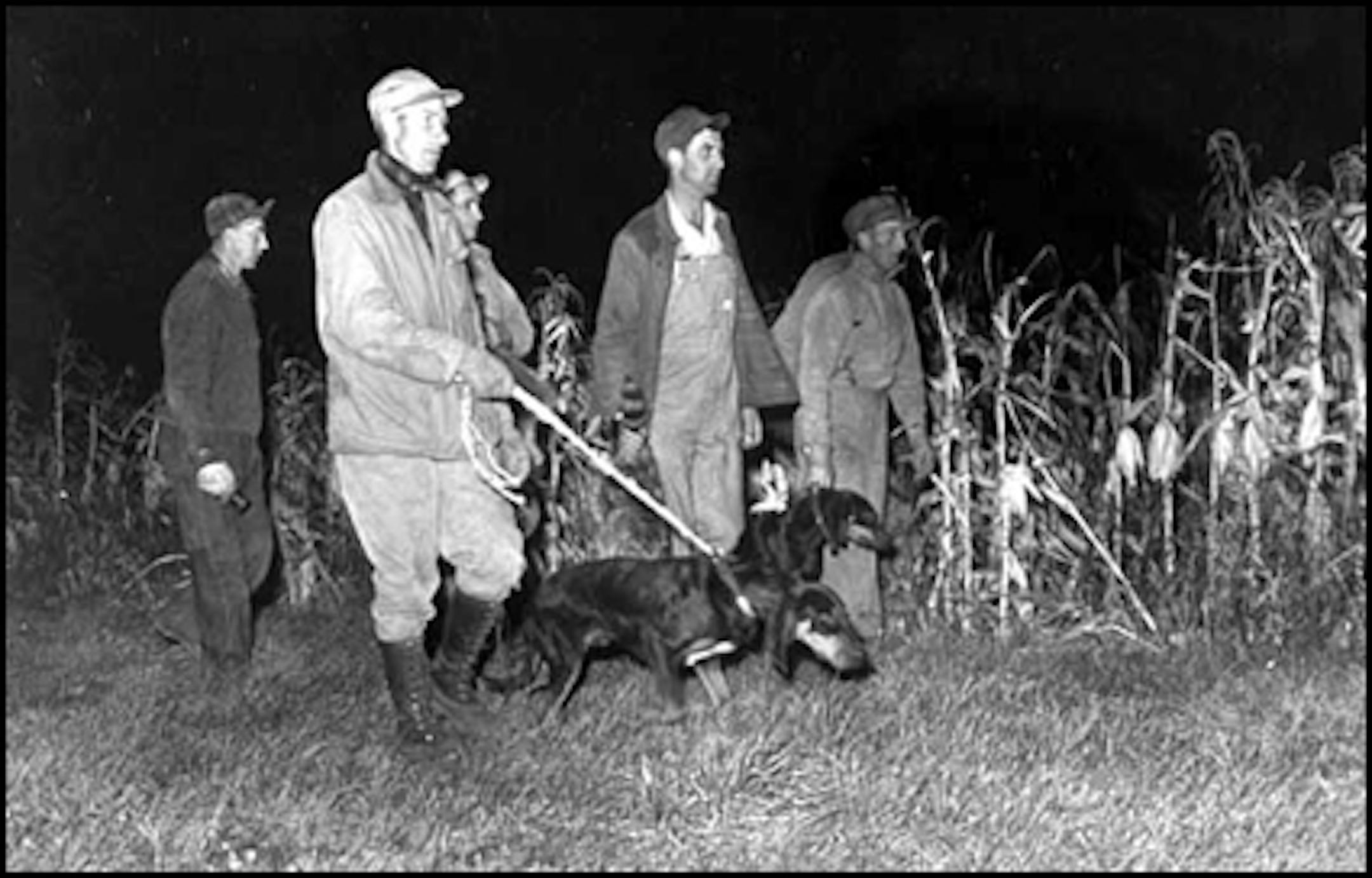 November 1944: Racoon hunt