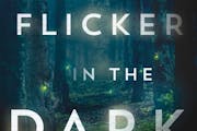 Review: "A Flicker in the Dark," by Stacy Willingham