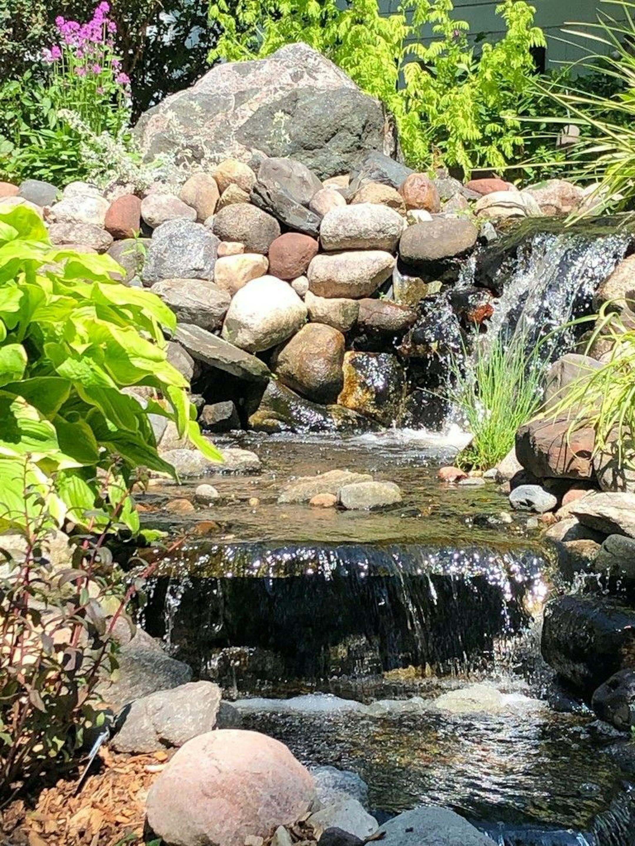Multiple waterfalls flow amidst aquatic plants, perennials and layers of handpicked rock in Candace McClenahan's Bloomington backyard.