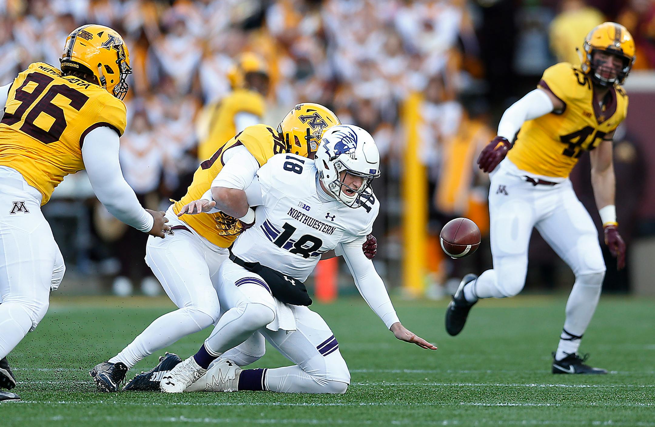 Minnesota linebacker Blake Cashman sacked Northwestern's quarterback Clayton Thorson (18), forcing a fumble in the first quarter
