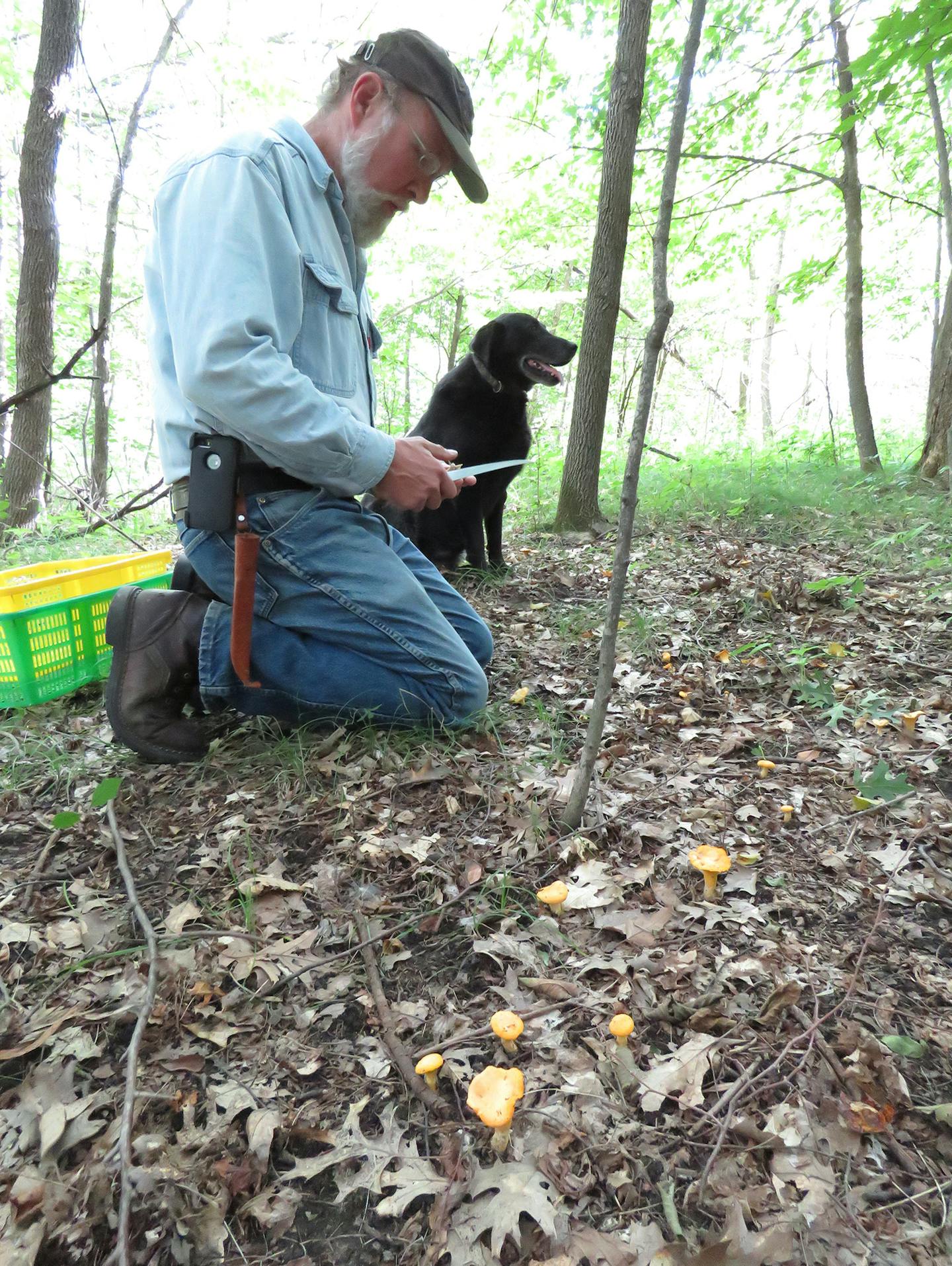 Kevin Doyle, mushroom hunter