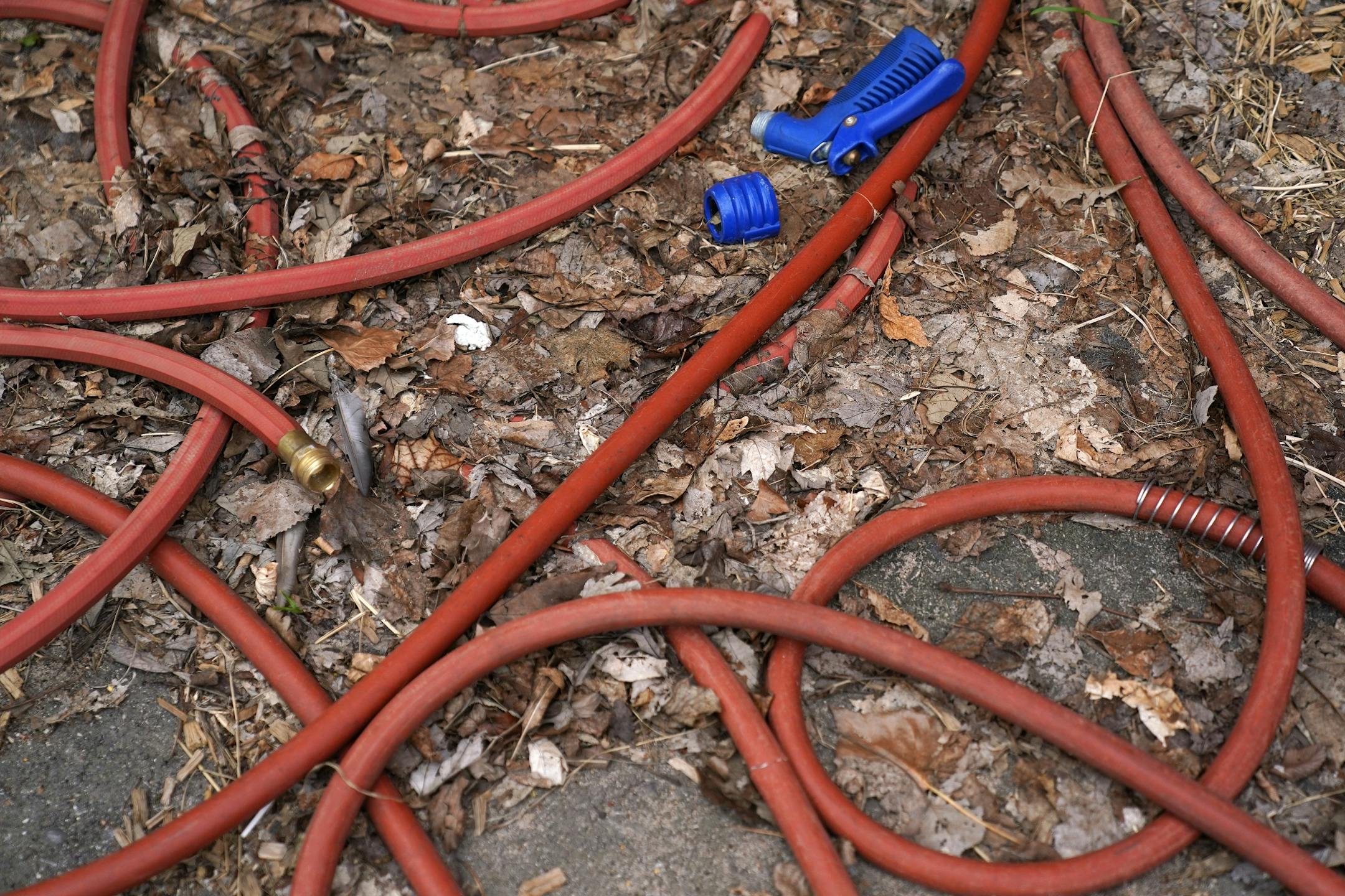 A hose laid abandoned near the washing stations behind the Cattle Barn from the 2019 State Fair Thursday.