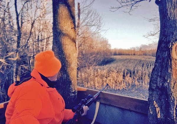 Hoping a buck would seek out the corn field near his stand, Dennis Anderson on Saturday watched for movement while hunting during the Wisconsin whitet