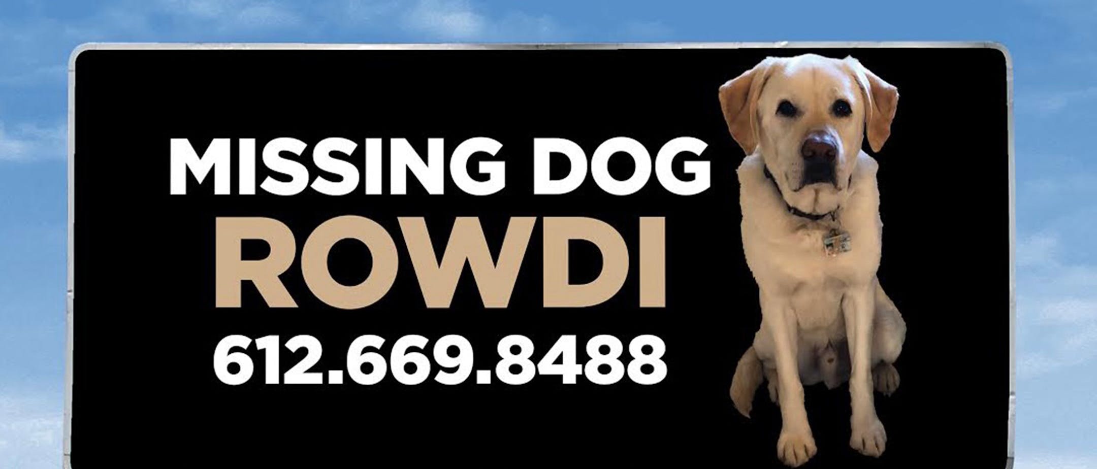 Rowdi, a yellow Labrador retriever, went missing on the North Shore in February. His Minneapolis family is still searching for him, as this billboard outside of Grand Marais attests.