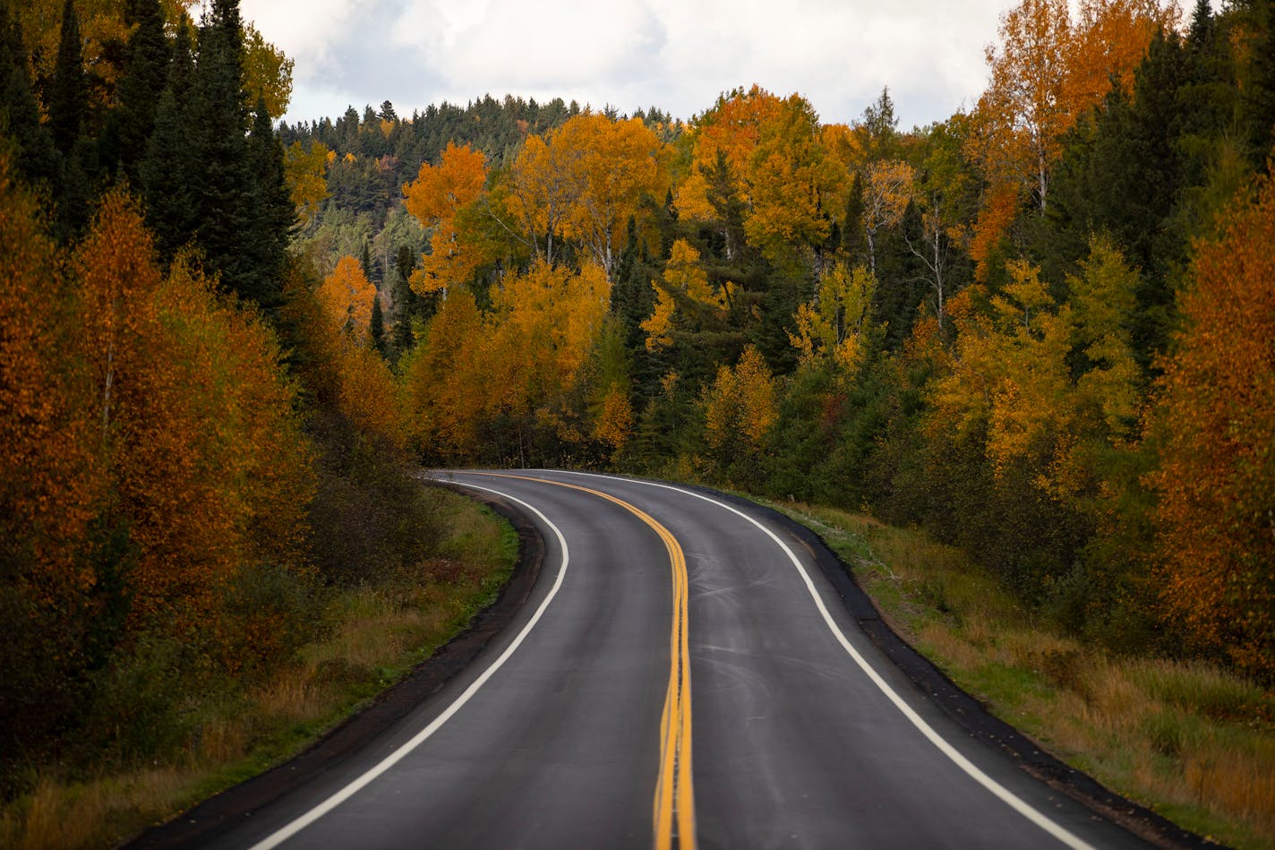 The fall colors were near their their peak along the Gunflint Trail in Grand Marais, Minn. on Sunday. ]