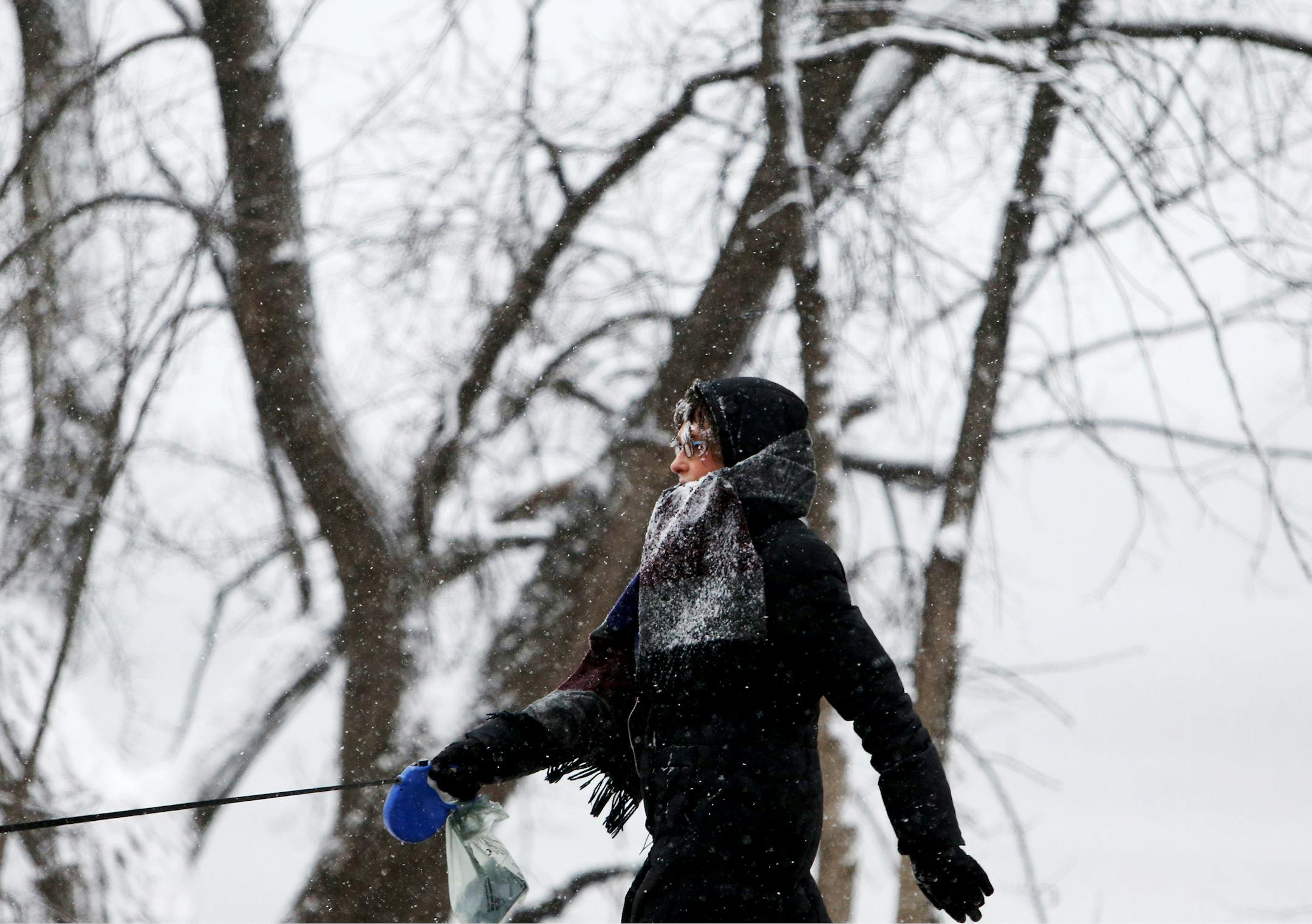 Thursday brought the unmistakable look of winter to Minneapolis, with snow coating trees, and a dog walker, near Lake Harriet.