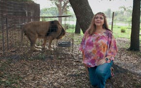 Big Cat Rescue founder Carole Baskin in a still from Netflix's "Tiger King." A volunteer at Baskin's Big Cat Rescue in Florida nearly had her arm torn