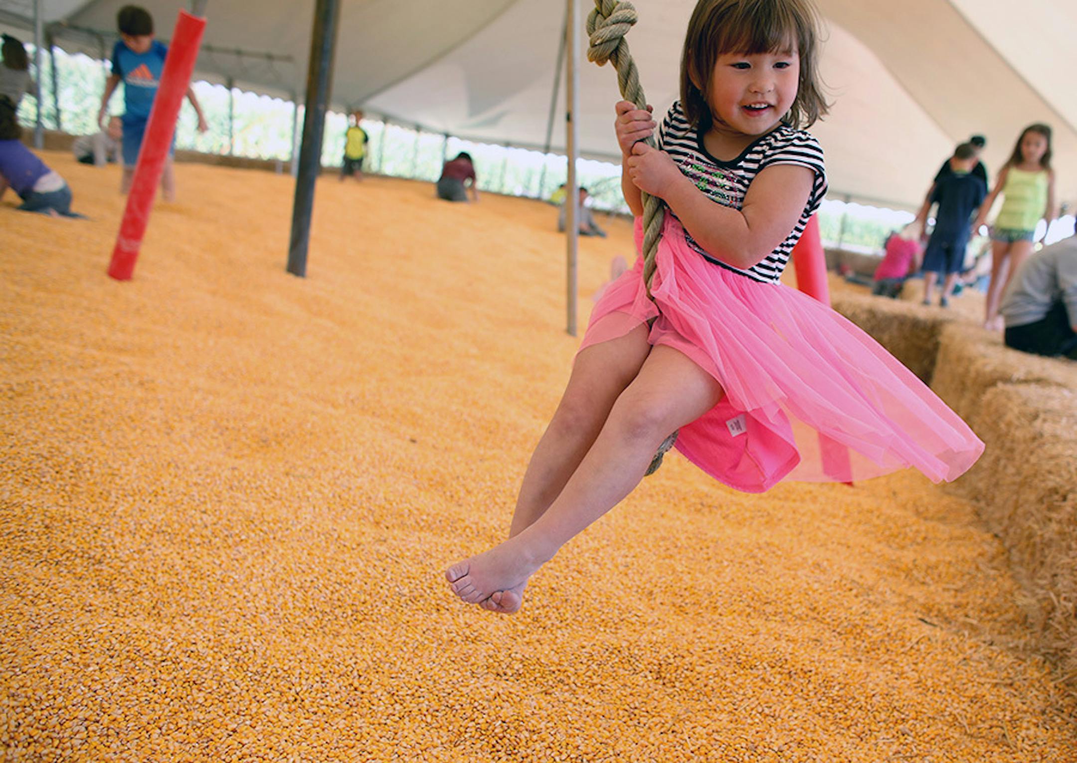 Valerie, Wong, 4, of Woodbury, swung on a rope in the Extreme Corn Pit one of the attractions at Sever's Corn Maze. Opening weekend of the Sever's Corn Maze in Shakopee, Min., Saturday September 12, 2015.