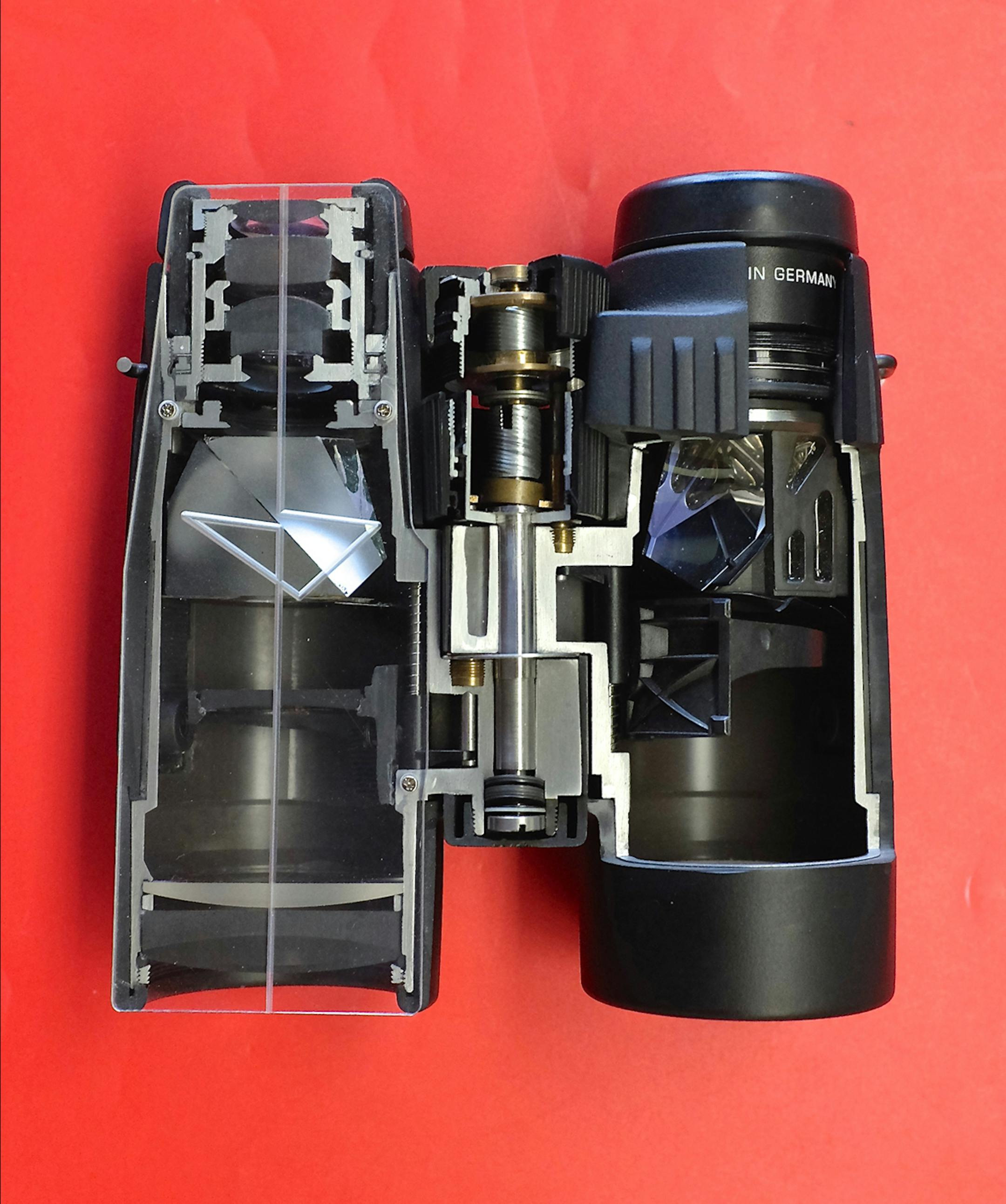 Cutaway view of a roof prism binoculars 12x42